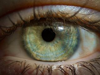 Bilan visuel : comment se déroule l'examen de la vue