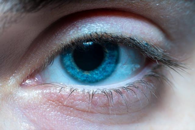 Fond d'œil : comment se passe cet examen clé de votre rétine Fond d'œil : comment se passe cet examen clé de votre rétine