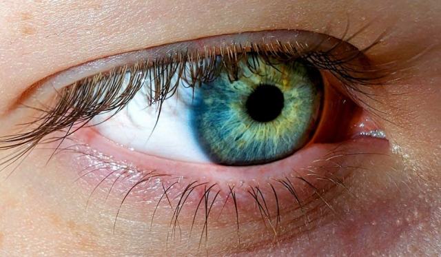 Glaucome : comprendre la pression intraoculaire et protéger son nerf optique