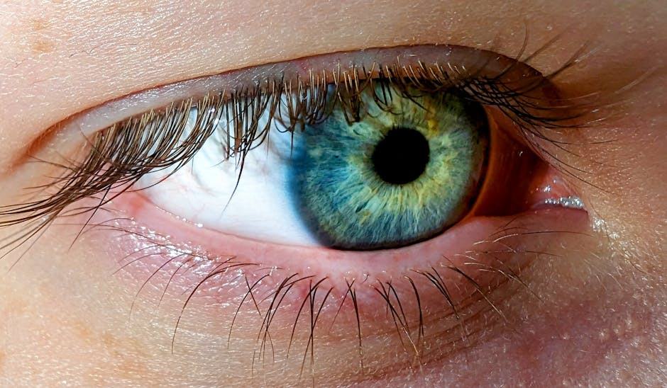 Glaucome : la maladie sournoise qui vole la vision périphérique
