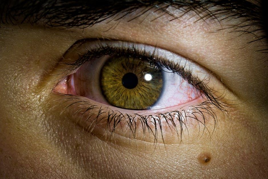 Orgelet et chalazion : différences, causes et soins adaptés